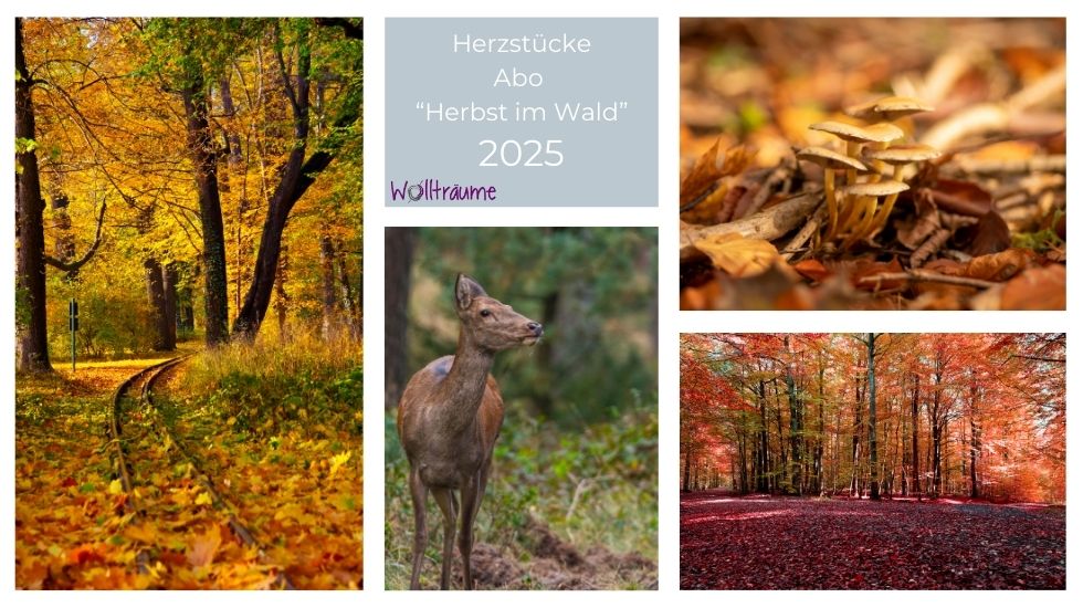 Herzstückeabo_Thema_Herbst im Wald_2025 Herbst, Herzstücke mit handgefärbter Wolle